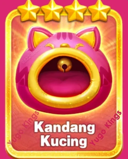900M KARTU